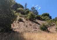 Grass and trees on land near Linda Vista Park in Cupertino, California