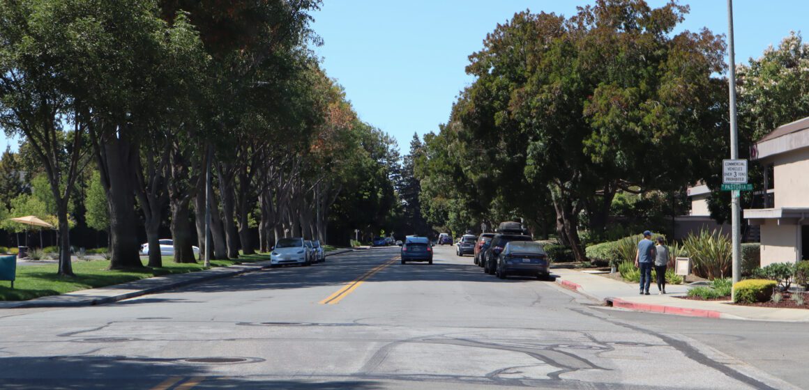 Photo of a road with large trees on either side and one car driving. There are many cars parked on either side of the one-lane road