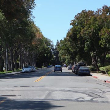 Photo of a road with large trees on either side and one car driving. There are many cars parked on either side of the one-lane road