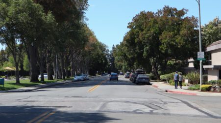 Photo of a road with large trees on either side and one car driving. There are many cars parked on either side of the one-lane road