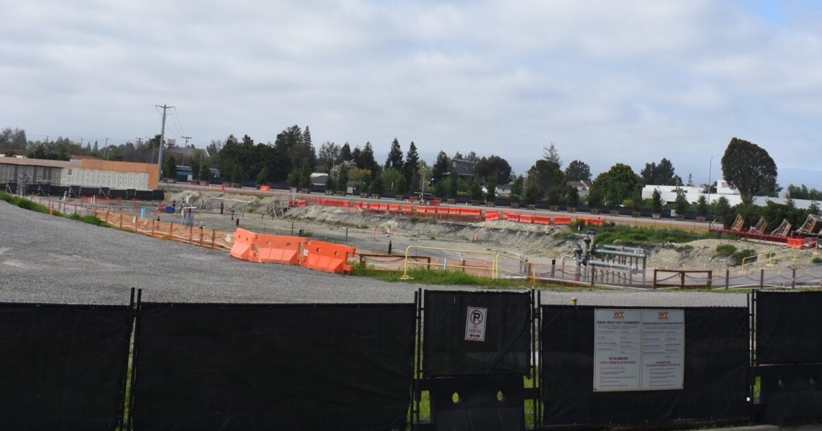Mountain View fines Google for cutting down 800-plus trees - San Jose Spotlight