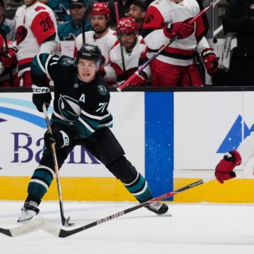 Two men playing professional hockey