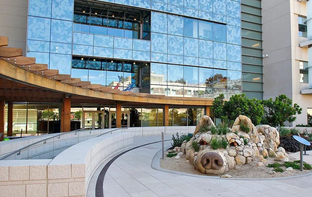 Lucile Packard Children's Hospital in Palo Alto to reduce workforce - San Jose Spotlight