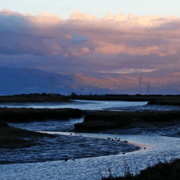 Palo Alto Baylands Embarcadero Clouds drifting over the Palo Alto Baylands in California