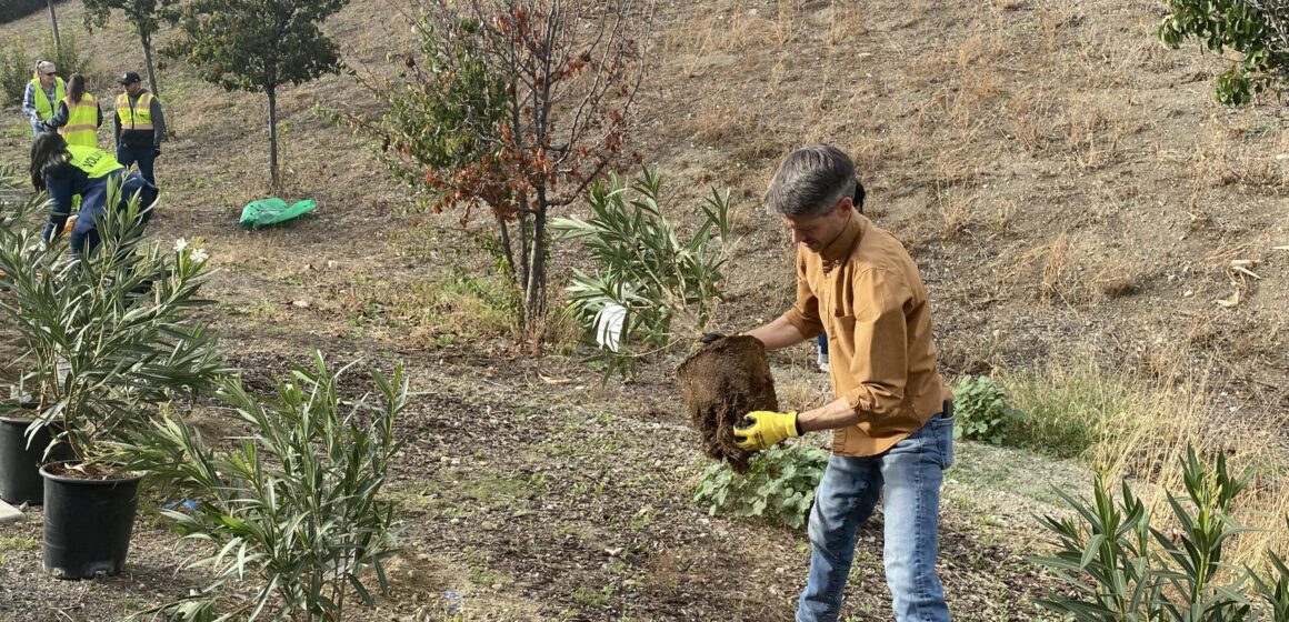 Caltrans San Jose agreement People planting trees along the freeway in San Jose, California