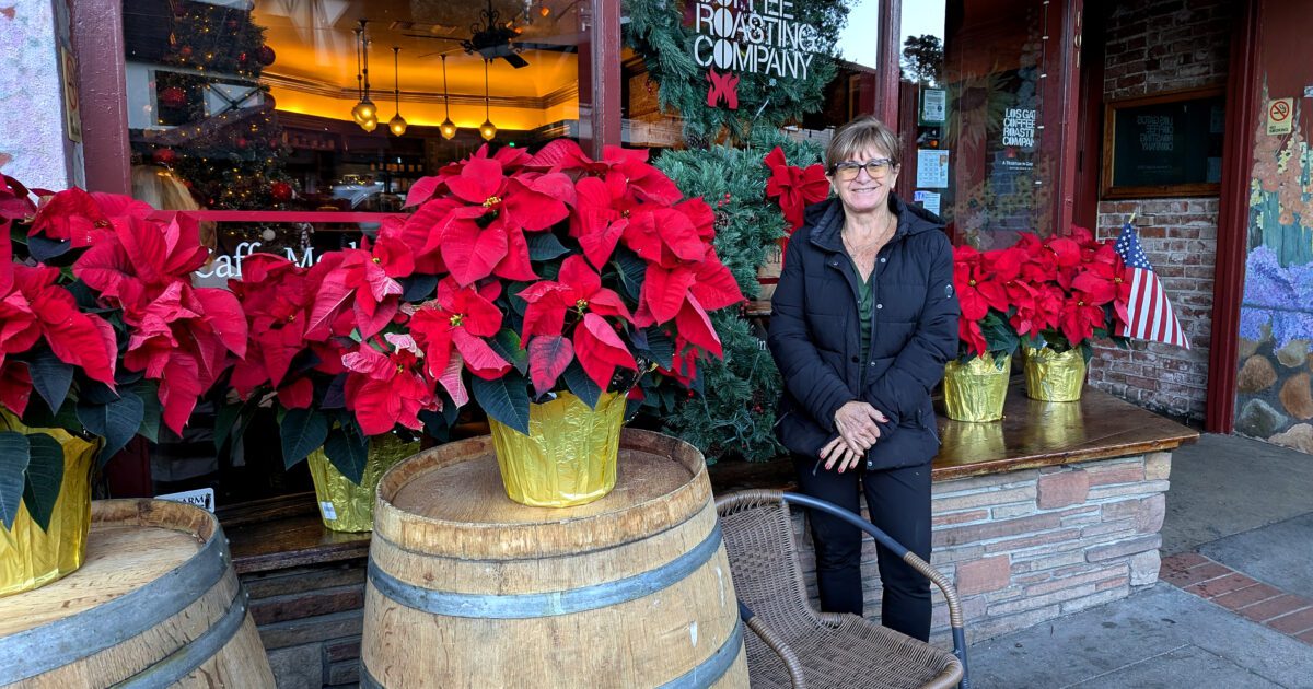 Los Gatos cafe reopens after Thanksgiving crash - San Jose Spotlight