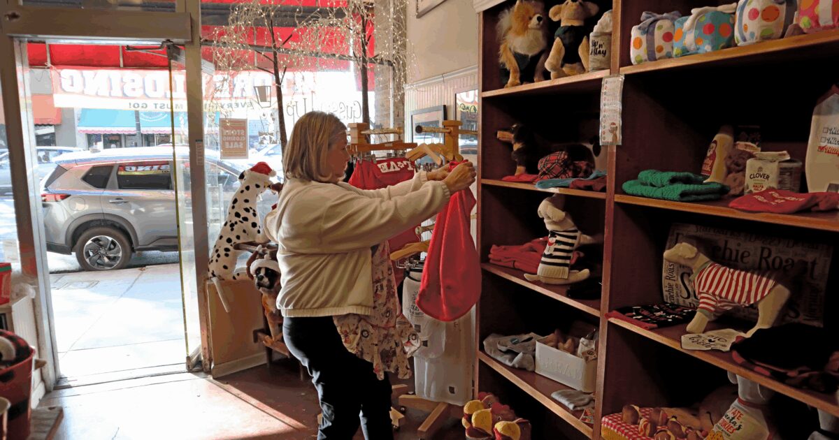 'A charming little place': Willow Glen dog boutique is closing - San Jose Spotlight