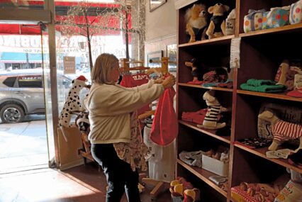Photo of Kim Kipsett — a woman with a blonde bob wearing a white jacket and holiday apron — folding a dog outfit near the front of the dog boutique. The shelves are lined with stuffed dogs wearing outfits and other toys for pets