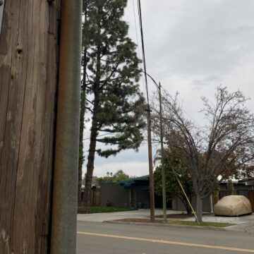 Westside power poll A utility pole holding up power lines in a residential neighborhood.