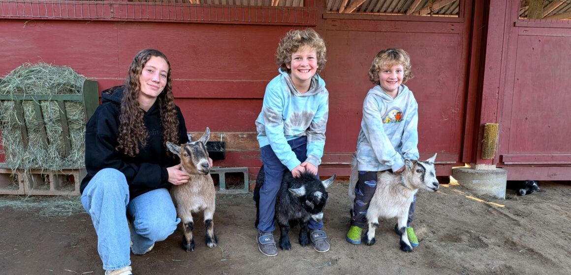 Three kids with their pet goats