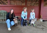 Three kids with their pet goats
