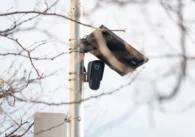 An automated license plate reader camera on a post in Mountain View, California
