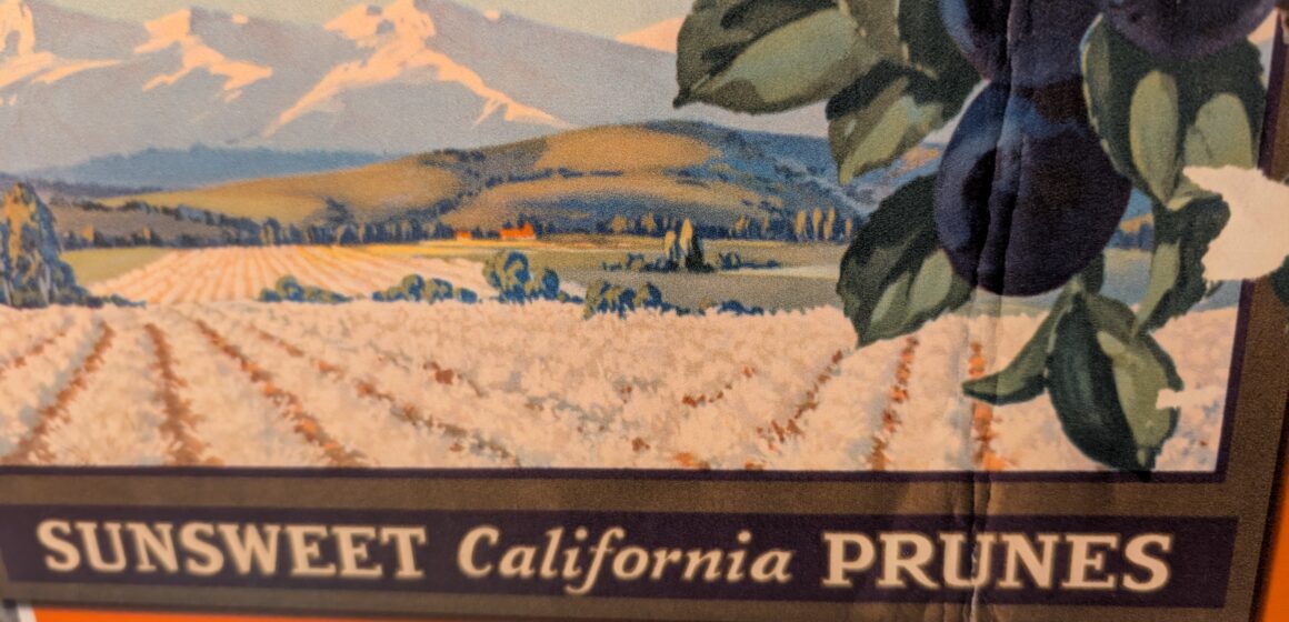 Fruit-Sunsweet Orchard with fruit