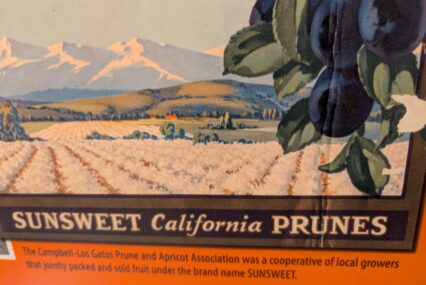 Fact Brief: Was Silicon Valley once known as the Valley of Heart’s Delight?