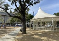 A tree stands in front of a white pavilion