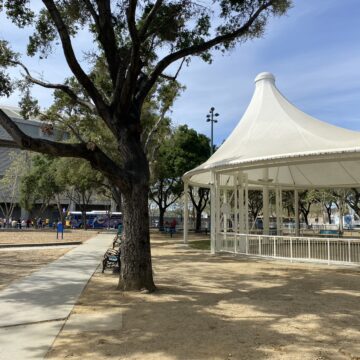 Pavilion A tree stands in front of a white pavilion