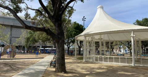 A tree stands in front of a white pavilion