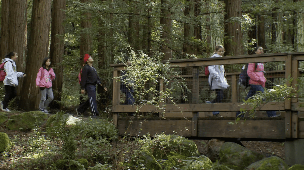 Children crossing a bridge in a forest in Saratoga, California