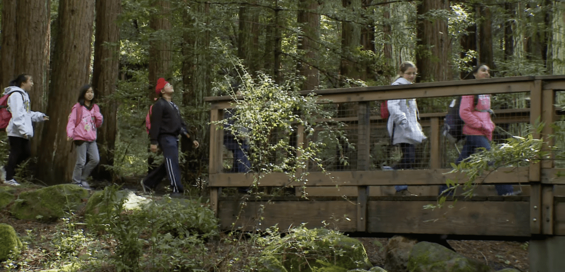 Children crossing a bridge in a forest in Saratoga, California