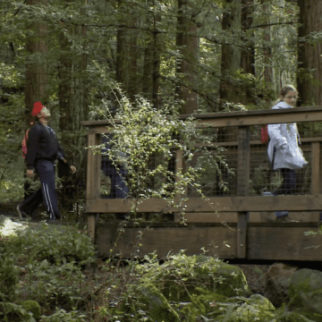 Children crossing a bridge in a forest in Saratoga, California