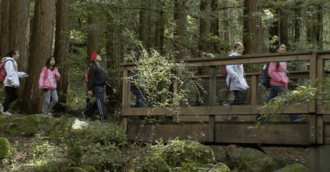 Children crossing a bridge in a forest in Saratoga, California