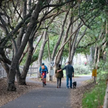 MV Stevens Creek Trail Embarcadero 2 People walking on a trail near a creek in Mountain View, California