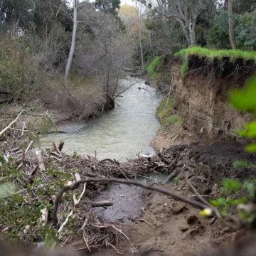 A creek in Mountain View, California