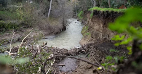 A creek in Mountain View, California