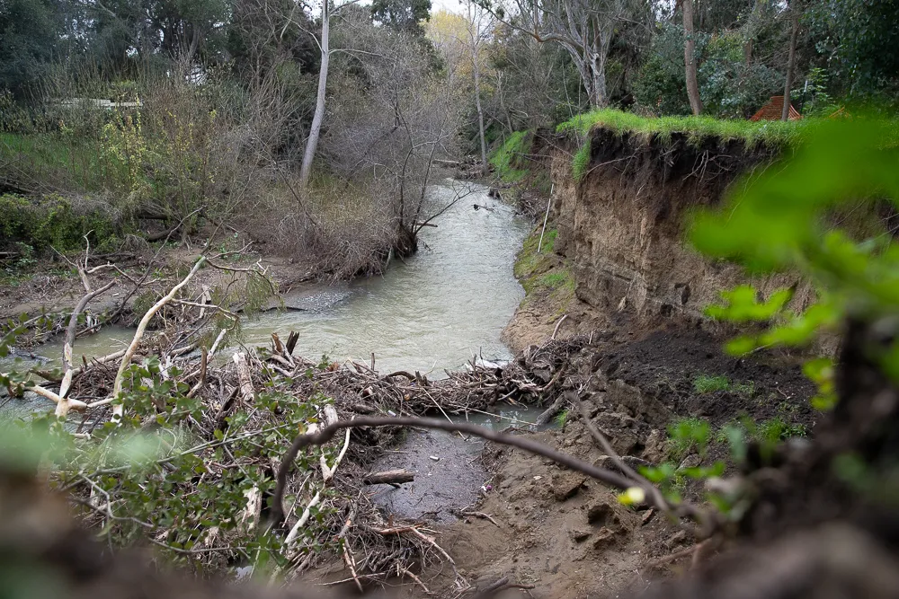 A creek in Mountain View, California