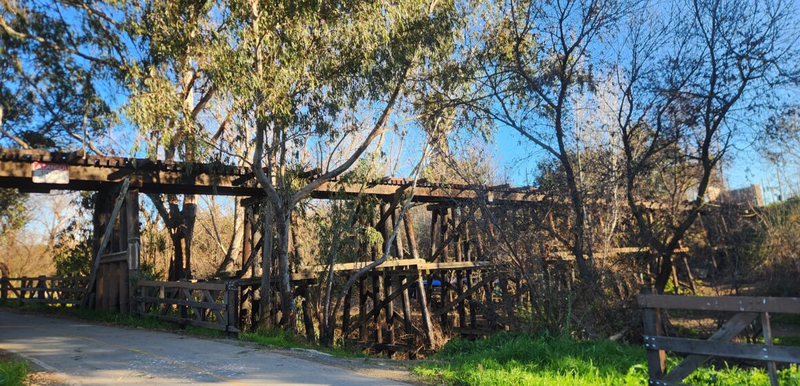 A train trestle behind trees.