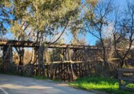 A train trestle behind trees.