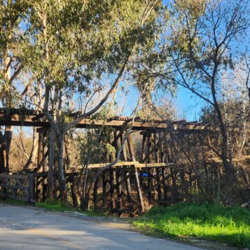 Coyote creek trestle full A train trestle behind trees.