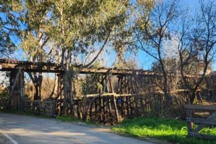 A train trestle behind trees.
