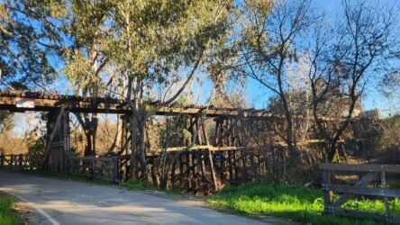 A train trestle behind trees.