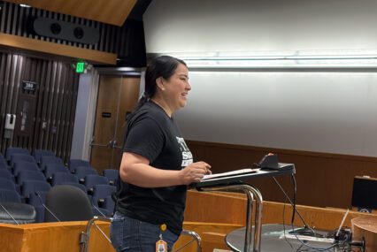 A woman standing at a podium at a government meeting