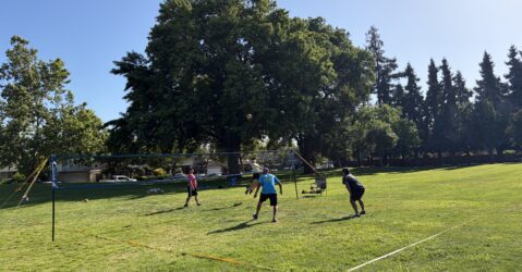 People playing volleyball outside at a park in Sunnyvale, California
