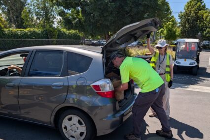 A person loads a bag of groceries into the back of a car in San Jose, California