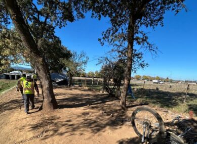 West Branch Llagas Creek encampment cleanup after Two trees near a creek in San Jose, California