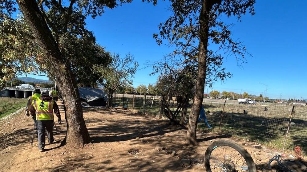 Dos árboles cerca de un arroyo en San José, California.