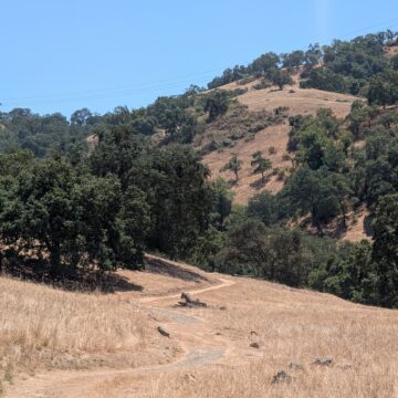 A hiking trail along with trees and green hillsides south of San Jose, California