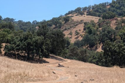 A hiking trail along with trees and green hillsides south of San Jose, California