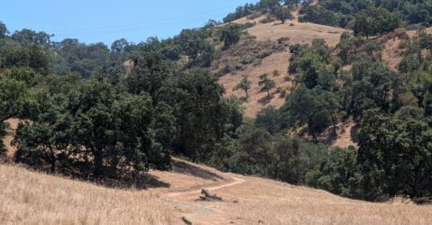 A hiking trail along with trees and green hillsides south of San Jose, California