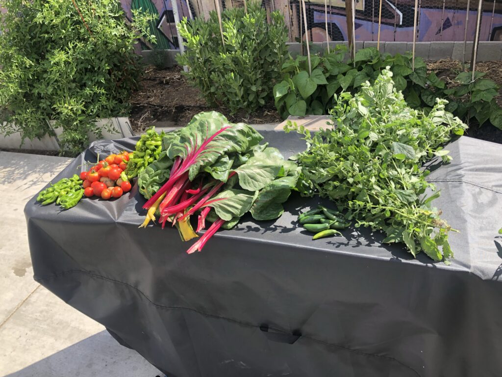 Vegetables displayed on a table outside