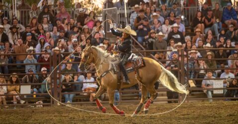 A person riding a horse swings a lasso around at a rodeo in Gilroy, California