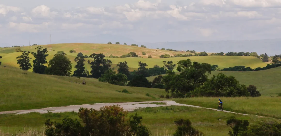 A nature preserve in Palo Alto, California