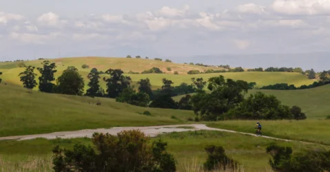 A nature preserve in Palo Alto, California