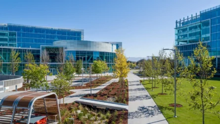 Google office rendering Embarcadero A rendering of a Google office complex in Sunnyvale, California