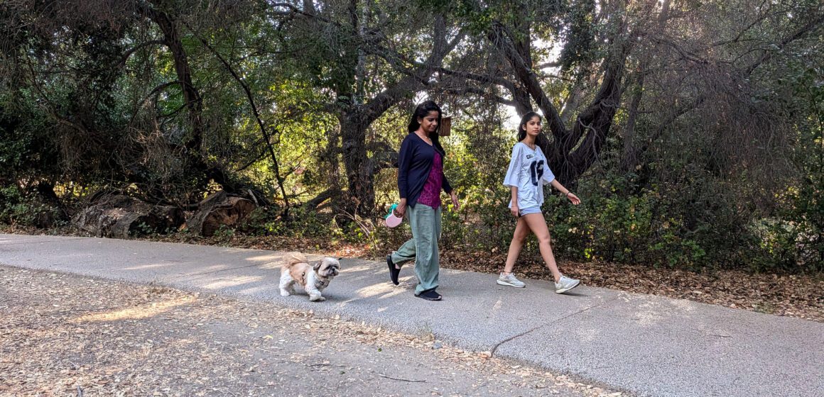 Cupertino dogwalkers people walking dogs