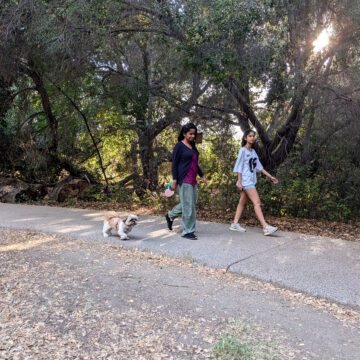 people walking dogs