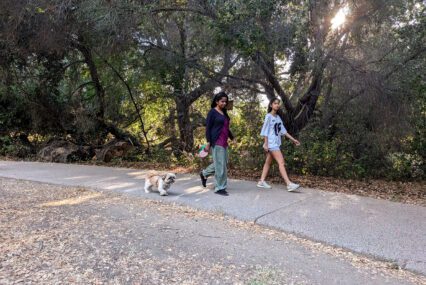Fact Brief: Does Cupertino have a leash law?